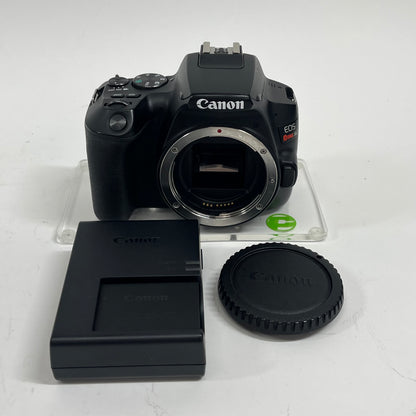 Canon EOS Rebel SL3 24.1MP Digital SLR DSLR Camera
