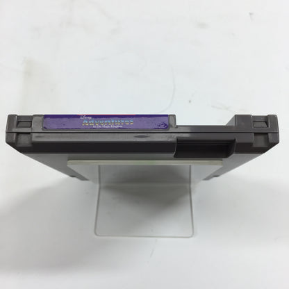 Adventures in the Magic Kingdom (Nintendo NES, 1990)