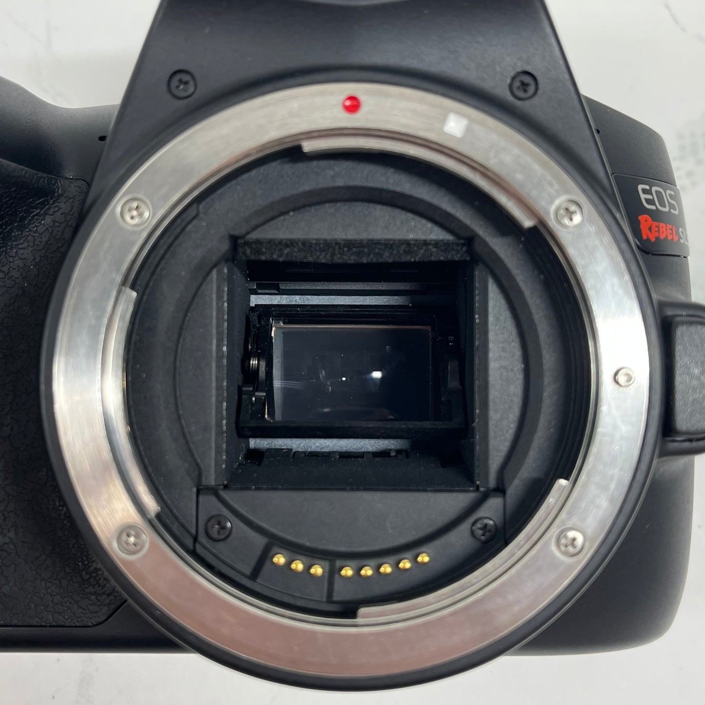 Canon EOS Rebel SL3 24.1MP Digital SLR DSLR Camera