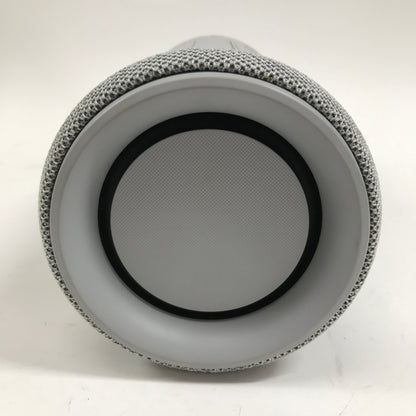 Sony XG300 Portable Bluetooth Speaker Gray SRS-XG300