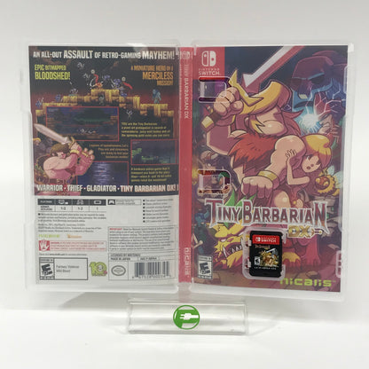 Tiny Barbarian DX (Nintendo Switch, 2017)