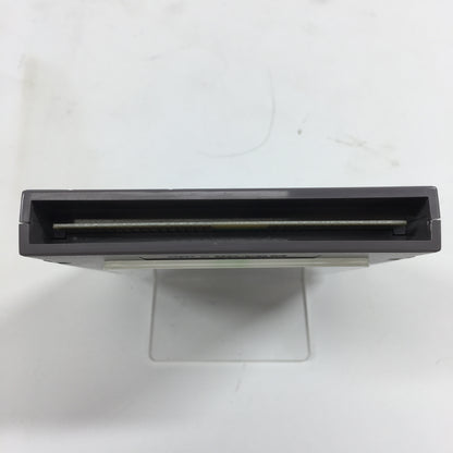 Adventures in the Magic Kingdom (Nintendo NES, 1990)